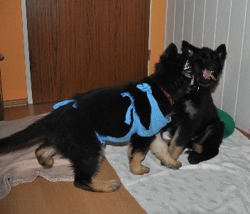 26.06.2011 balu + barani- 12
