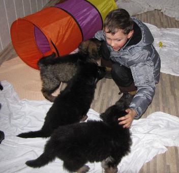 Unbenannt - 2 12.02.2010
