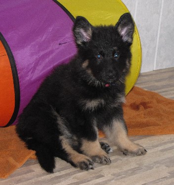 Unbenannt - 6.jpg akito 24.02.201002