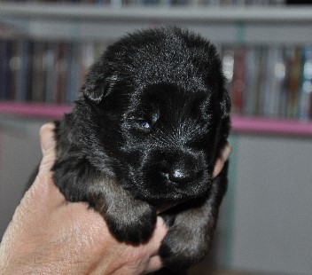 bakuma 01.05.2011.2011- 16
