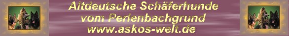 banner.jpg mit goldschrift altdeutsche schferhunde vom perlenbachgrund