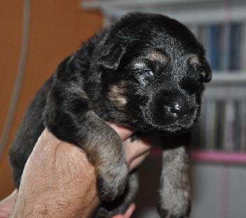 baskia 01.05.2011.2011 - 702