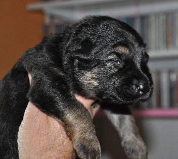 baskia 01.05.2011.2011 - 8