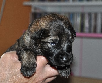 bonita 01.05.2011 - 23