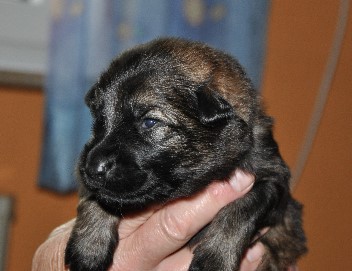 bonita 01.05.2011 - 25