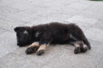 brix-balu 15.06.2011- 54