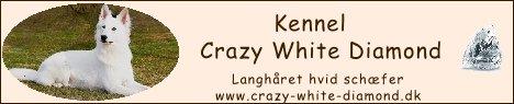 crazywhitediamond-banner