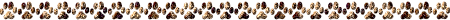 linie0026205