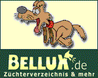 www.bellux.de